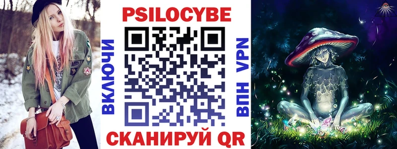 mega зеркало  закладка  Красноярск  Псилоцибиновые грибы Psilocybe 